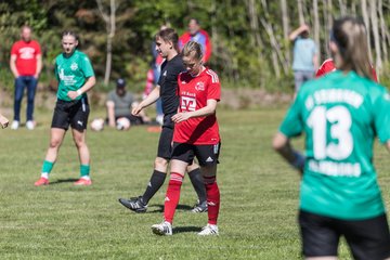 Bild 349 - F SG NieBar - IF Stjernen Flensborg : Ergebnis: 2:0